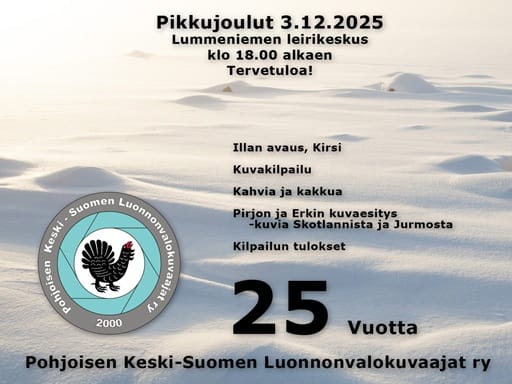 Pikkujoulut 2025