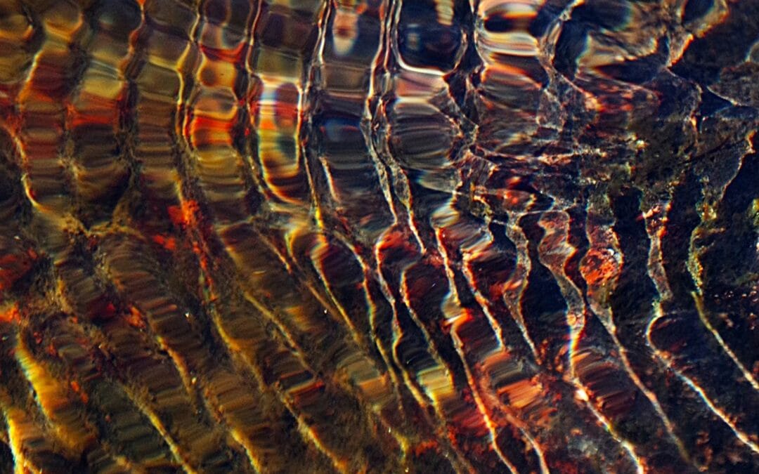 Kellankosken kevätvärit